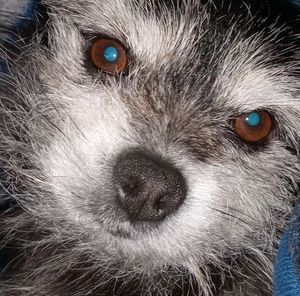 Meet your Posher, Tami